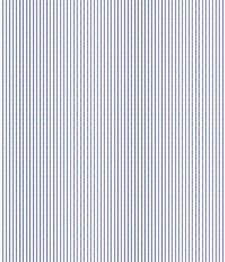 IMAGE_T