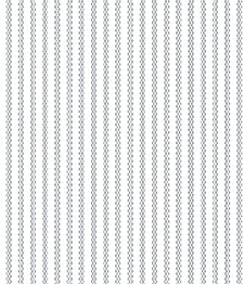 IMAGE_T