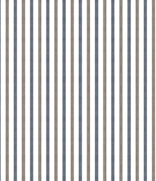 IMAGE_T