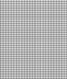 IMAGE_T