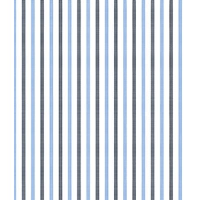 IMAGE_T