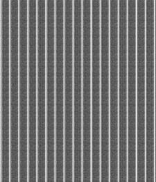 IMAGE_T