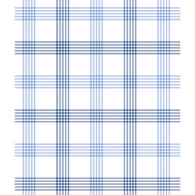 IMAGE_T