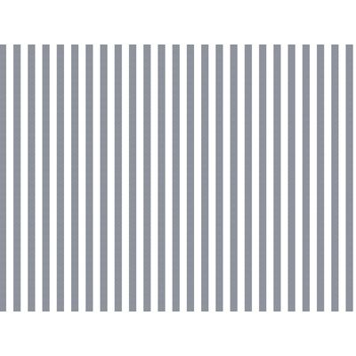 IMAGE_T