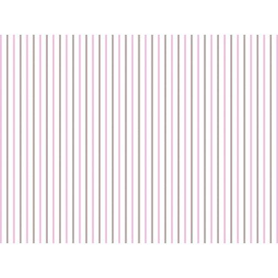 IMAGE_T
