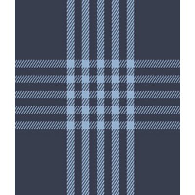 IMAGE_T