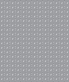 IMAGE_T
