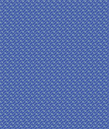 IMAGE_T