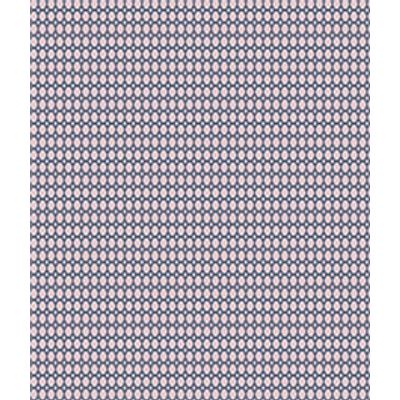 IMAGE_T