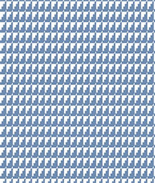IMAGE_T