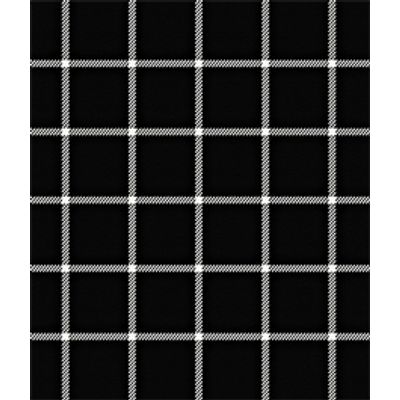 IMAGE_T