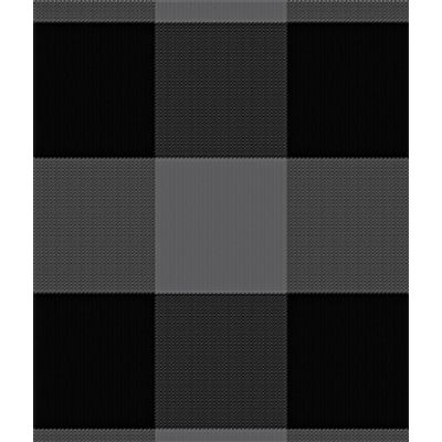 IMAGE_T