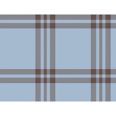 IMAGE_L