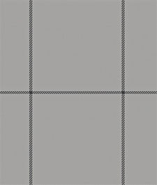 IMAGE_T