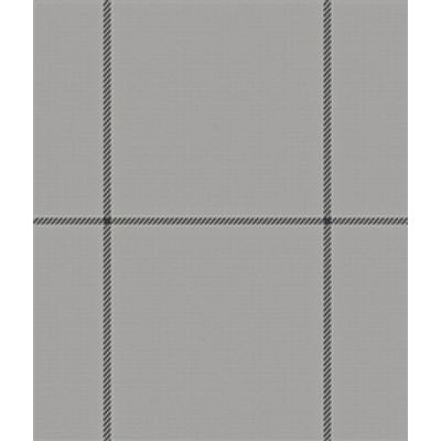IMAGE_T