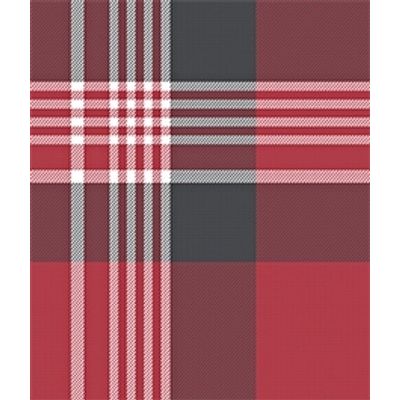 IMAGE_T