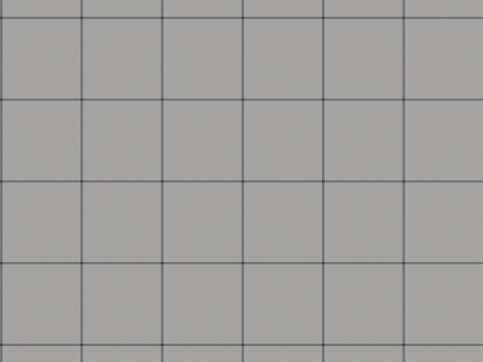 IMAGE_L