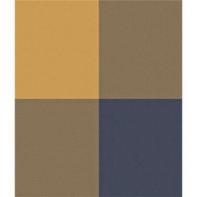 IMAGE_T