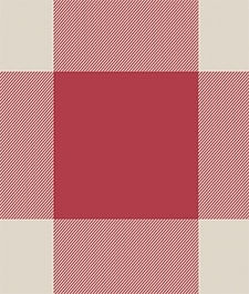 IMAGE_T
