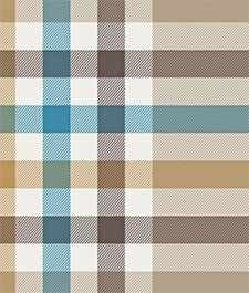 IMAGE_T