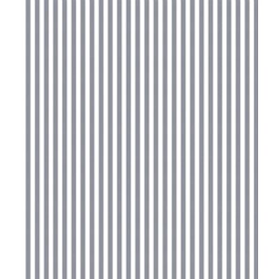IMAGE_T