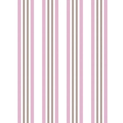 IMAGE_T
