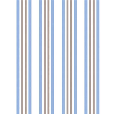 IMAGE_T