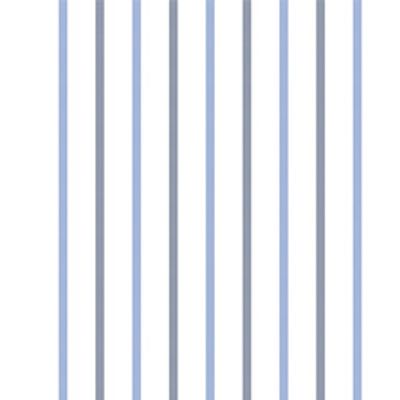 IMAGE_T