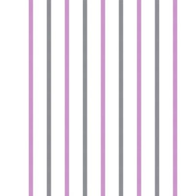IMAGE_T