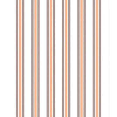 IMAGE_T