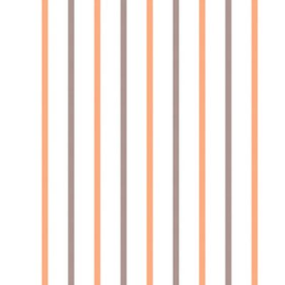 IMAGE_T