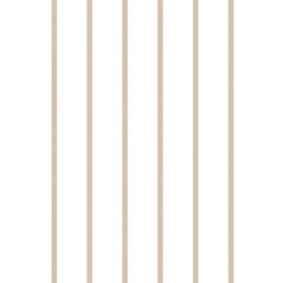 IMAGE_T