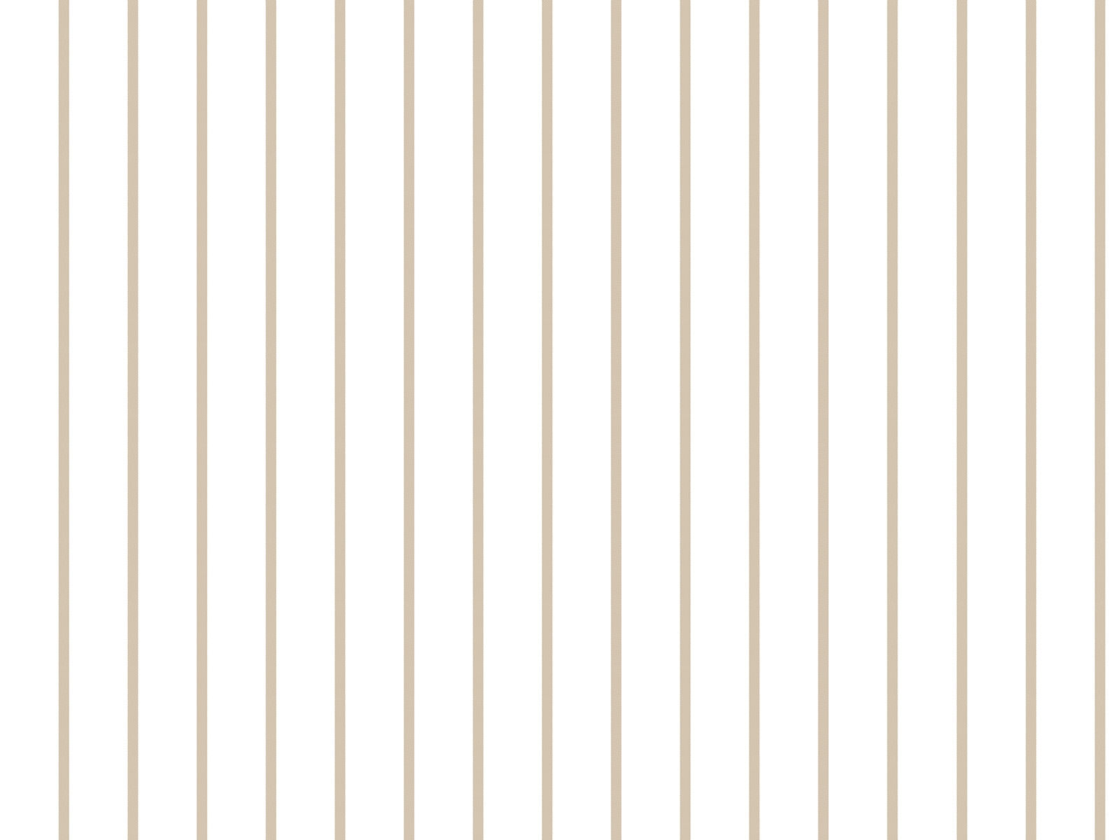 IMAGE_L