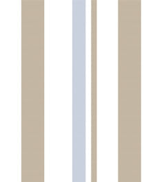 IMAGE_T