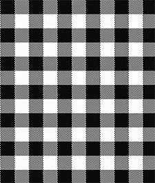 IMAGE_T