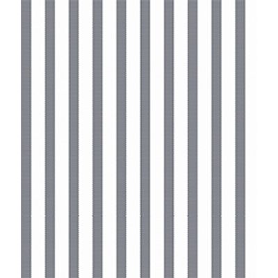 IMAGE_T