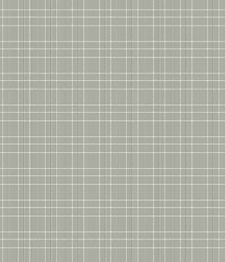 IMAGE_T