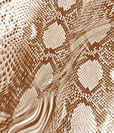 IMAGE_T