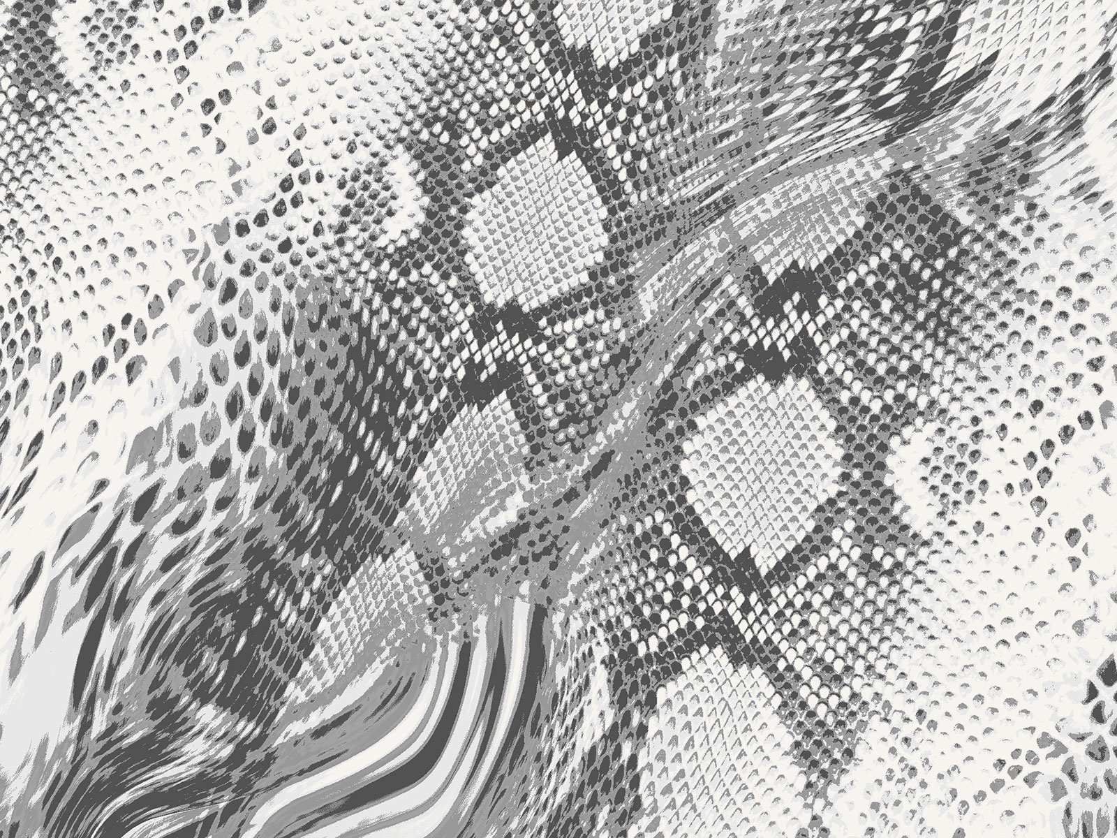 IMAGE_L