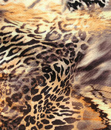IMAGE_T