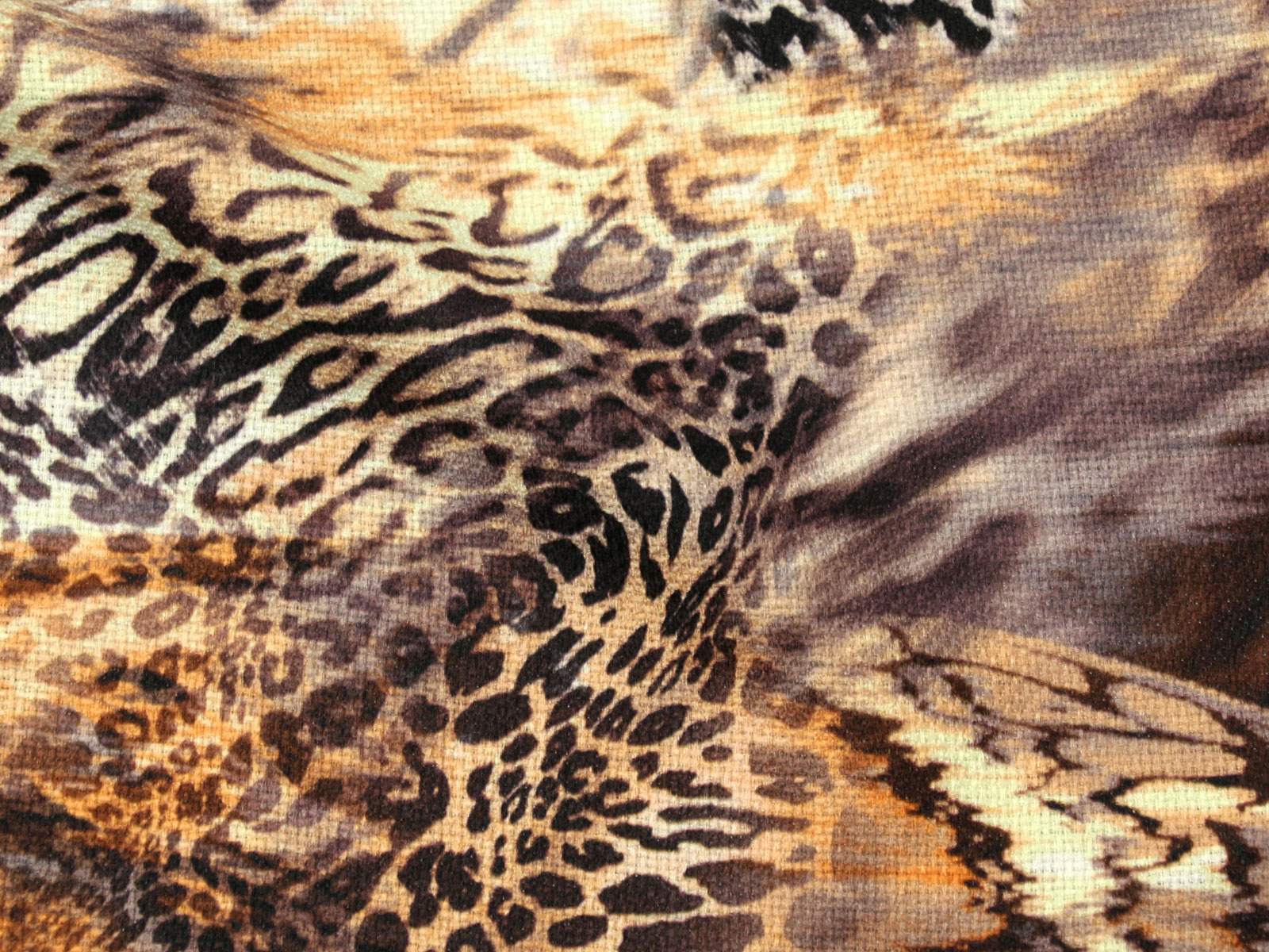 IMAGE_L