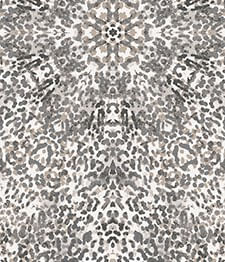 IMAGE_T