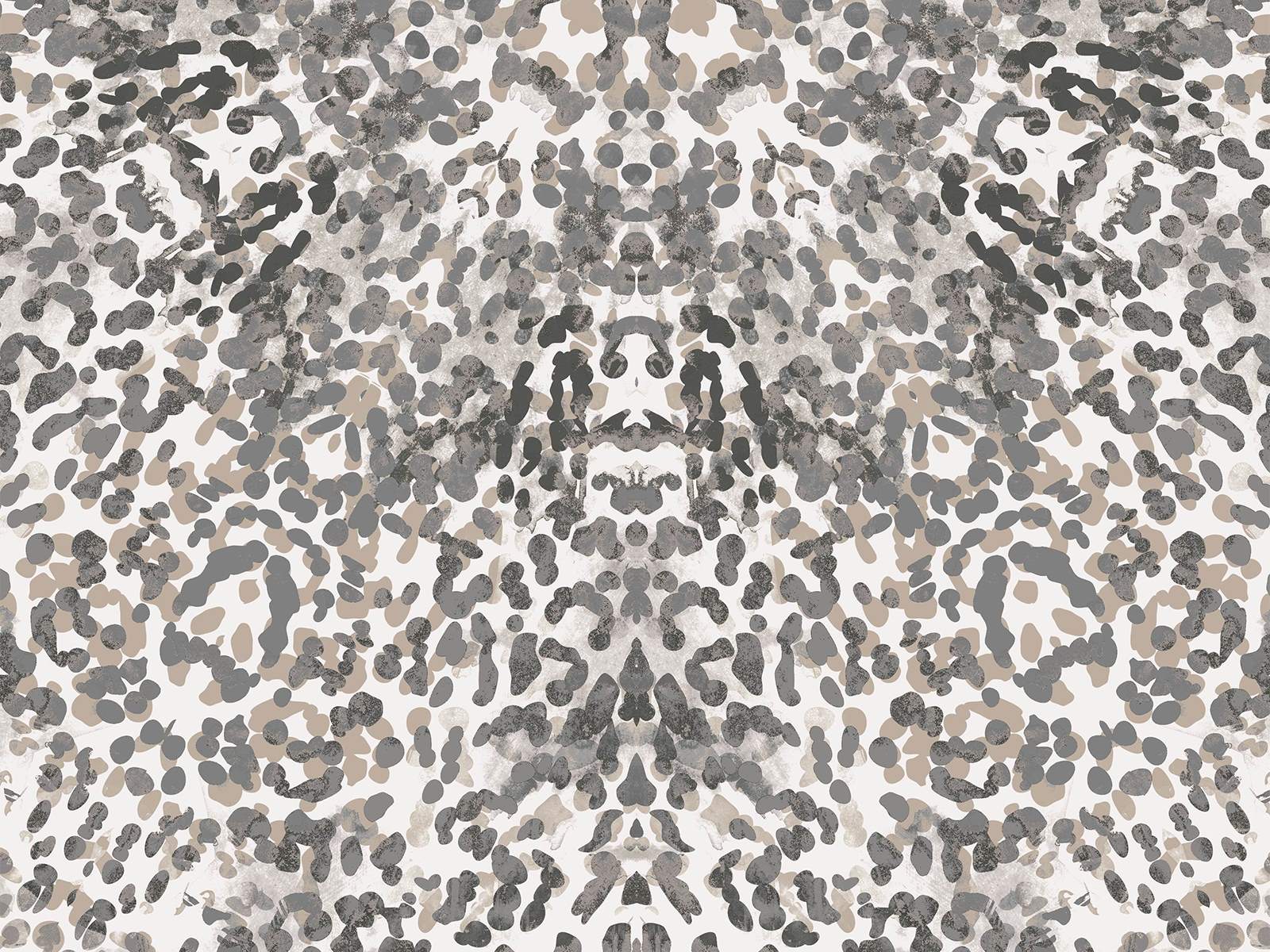 IMAGE_L