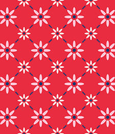 IMAGE_T