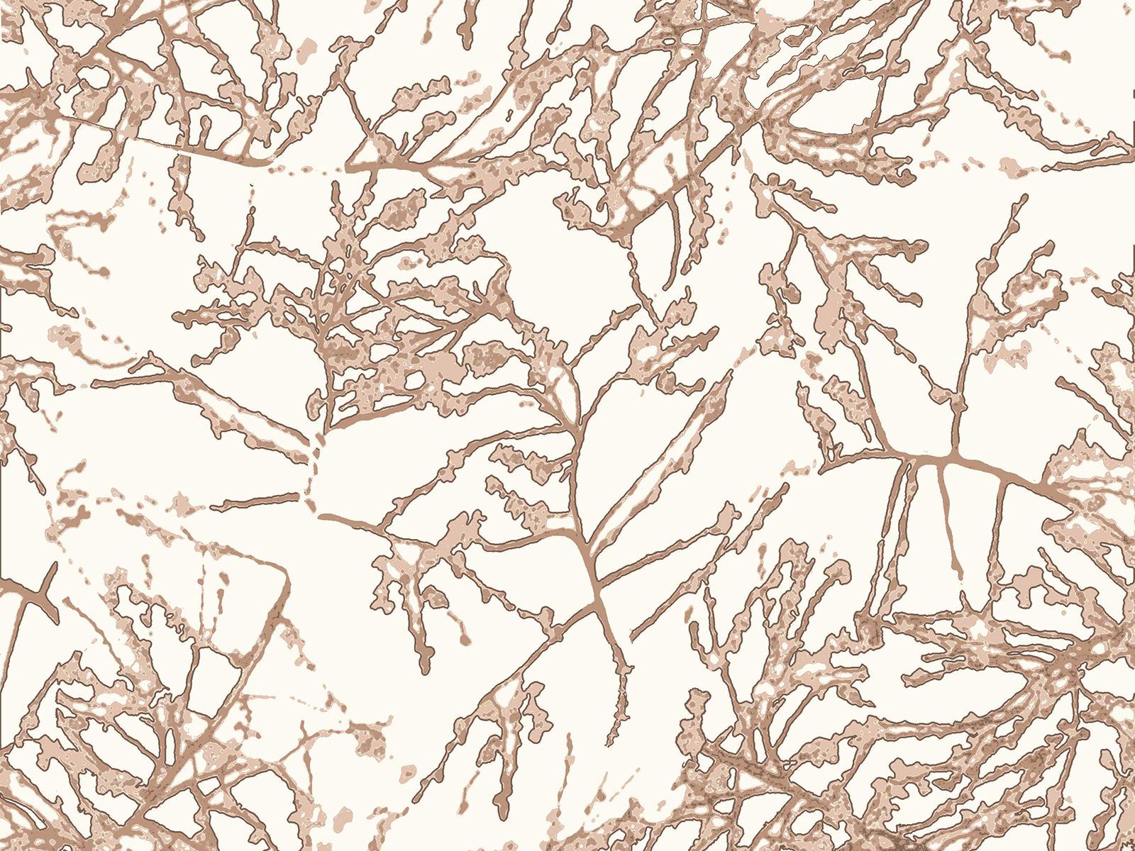 IMAGE_L