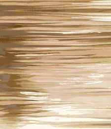IMAGE_T