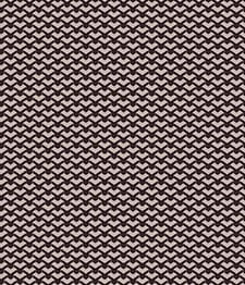 IMAGE_T