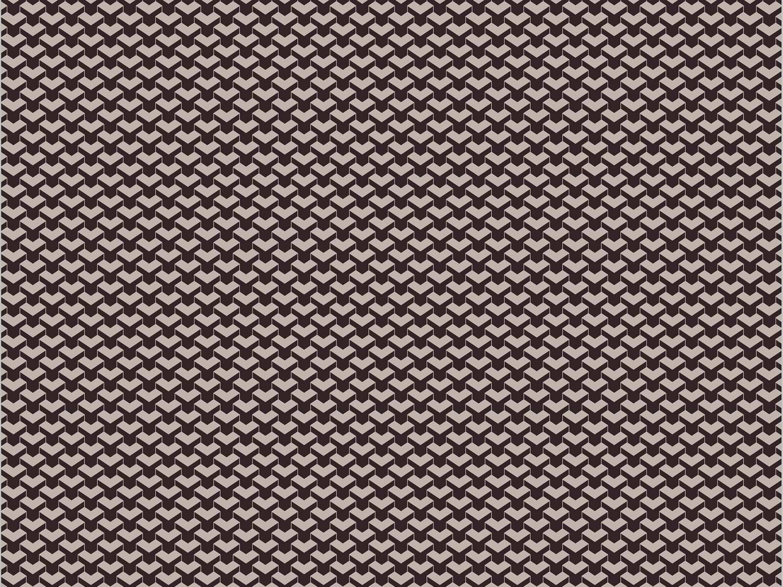 IMAGE_L
