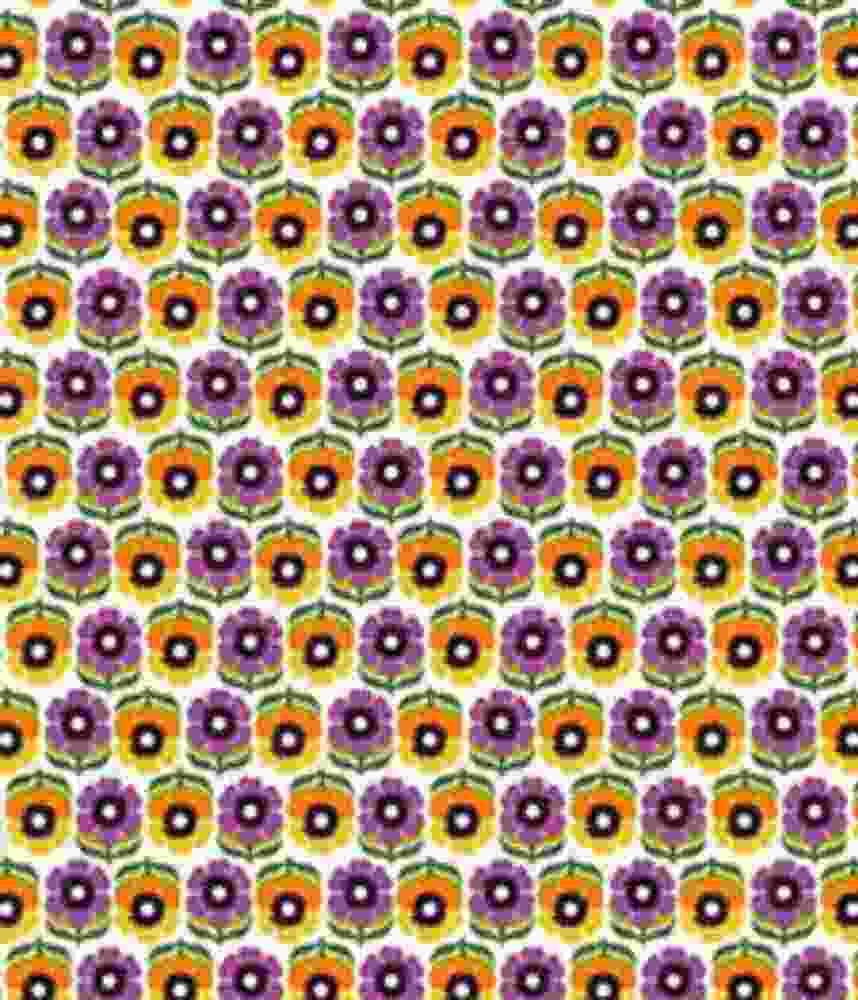 IMAGE_T