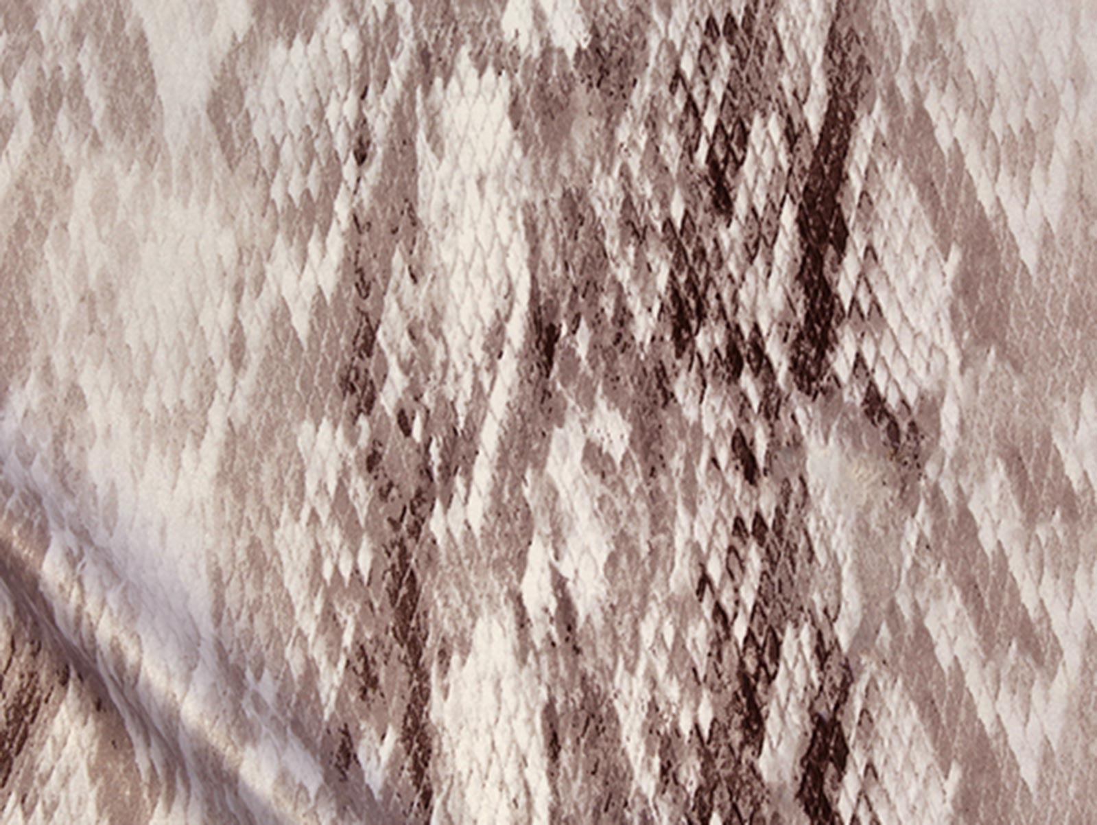 IMAGE_L